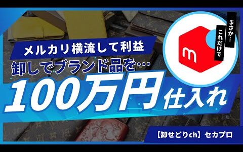 【卸しせどり】100万円分のブランド品仕入れた結果…