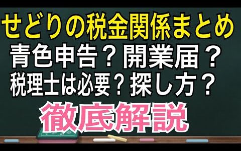 せどりの税金まとめ【税理士の探し方】徹底解説 青色申告 開業届 確定申告