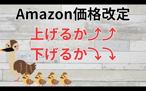 【Amazonせどり】Amazon価格改定、あなたは上げますか？下げますか？