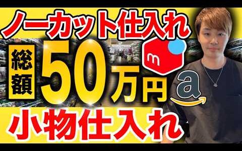 【最新】小物仕入れで車不要！173品のヒット商品大公開【メルカリ・Amazon中古せどり】