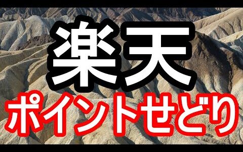 楽天ポイントせどりの始め方と成功のコツ