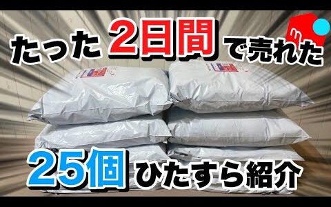 【爆売れ】メルカリ2日間で売れた25個を実売データ付きで紹介します！ せどり初心者l利益商品