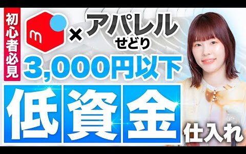 【新時代の働き方】時給5,000円！？低資金でスタートできるノーブランドコーナー仕入れやってみた！【アパレルブランドせどり・メルカリ・主婦・ワーママ】