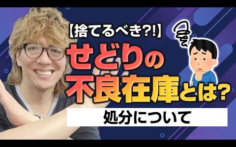 【捨てよ！】せどりの不良在庫とは？処分について 納品データ