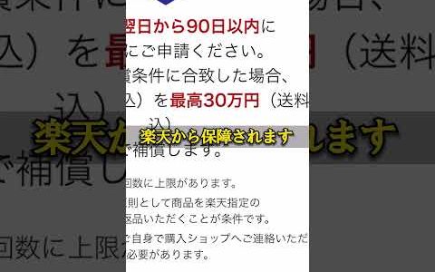 楽天で30万円損しない方法