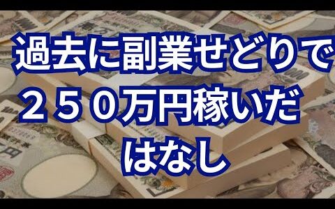 【過去の副業】副業せどり２年間で２５０万を荒稼ぎした理由とは