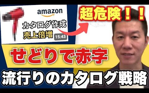 【今すぐ辞めてください】SNSで流行っているせどりカタログ戦略。損してます！超危険！