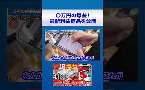 【パワパトロール】〇万円の爆益！ 最新利益商品を公開【中古せどり】