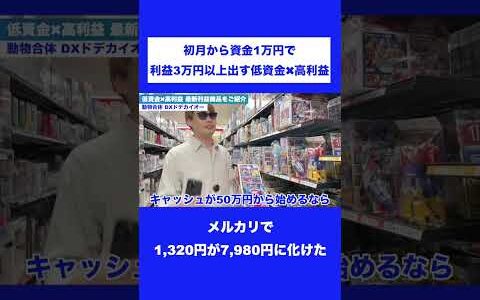 メルカリで1,320円が7,980円に化けた【中古せどり】