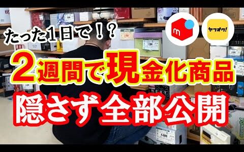 中古せどりのプロがたった１日で仕入れた２週間で現金化する商品を隠さず全部公開！！気になる利益は果たしていくらか！？【メルカリ】【ヤフオク】【即売れ中古せどり】