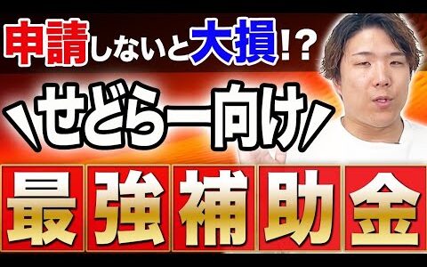 【せどり/物販】あなたも貰える！せどり用車両の補助金を解説