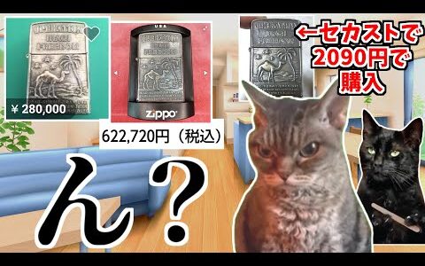 島根県松江市のセカストでお宝探しをした結果…？【猫ミーム】