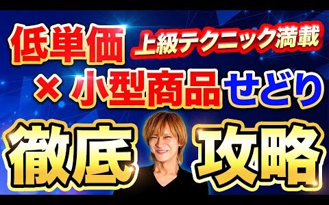 【小資金×小型せどり】電脳で低単価商品をリピート仕入れするリサーチ方法