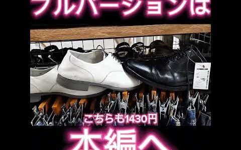 【せどり】仕入れた理由を【徹底解説】セカスト・ブックオフ・オフハウス・トレファクで仕入れてメルカリで売る！！副業から独立までいける。今、何が売れているのか(⌒∇⌒)