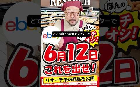 【ebay輸出リサーチ】6月12日商品公開！ライバルが少なくて利益がとれる商品を教えます！丸パクりOK。仕入れ先も公開中。 輸出 初心者 リサーチ