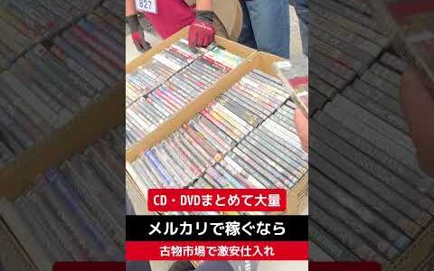 CD・DVD大量【せどり転売】メルカリで稼ぐなら古物市場で激安仕入れ｜東京マーケットの競り風景！