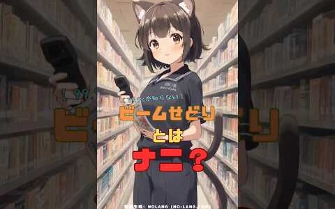 【99.9%が知らない】ビームせどりとはナニ？
