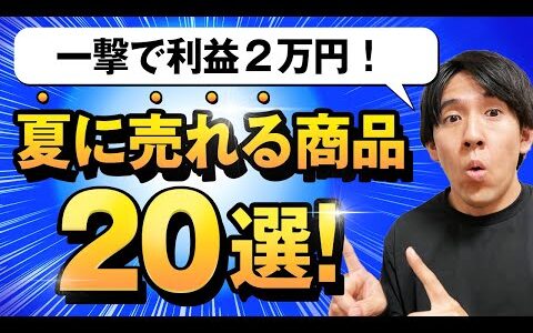 【夏完全攻略】電脳せどりで爆益を稼げる夏物利益商品20選