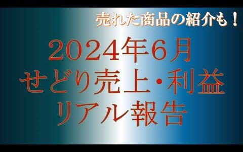 2024年6月せどり売上・利益をリアル報告