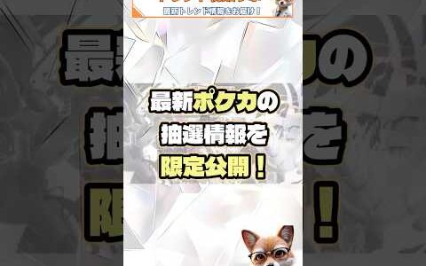 【締切迫る】再販ポケカが物販抽選中！プレ値あり＜メルカリ/ヤフオク＞