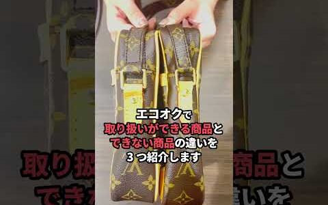 偽物をはじく男（ ルイヴィトン ダヌーブ編） 初心者