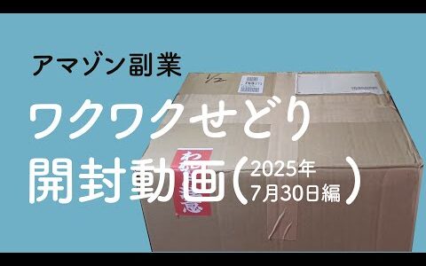 アマゾン副業「ワクワクせどり開封動画(2025年7月30日編)」