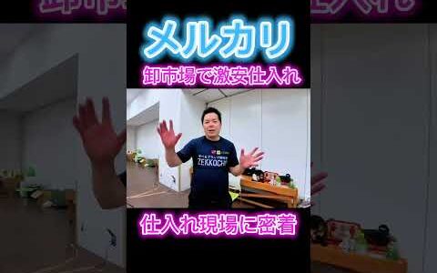 【メルカリ】ブランド卸市場で出品されている商品を大公開｜これなら安心！初参加でも仕入れができる！