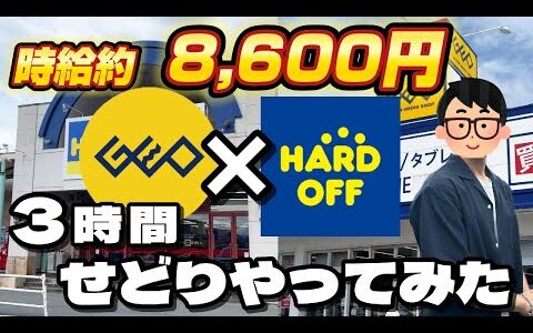【中古ゲームせどり】せどりで“時給8,600円”を叩き出した日｜仕入れ結果を公開