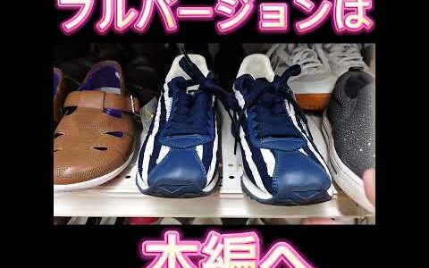 【せどり】仕入れた理由を【徹底解説】セカスト・ブックオフ・オフハウス・トレファクで仕入れてメルカリで売る！！副業から独立までいける。今、何が売れているのか(⌒∇⌒)