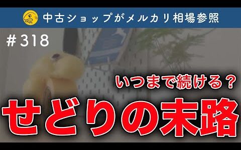 【絶望】せどりは稼げなくなるって話。輸入・中古・電脳・修理について私見を語る【第318回】フリマ相談室【メルカリ・ラクマ・PayPayフリマ】