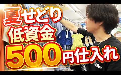 【メルカリ】低資金夏せどりの稼ぎ方解説！僕の失敗談を元に低資金仕入れの方法教えます