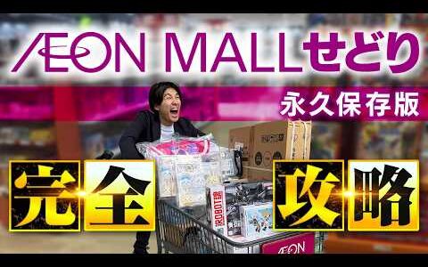 【永久保存版】年間240万稼げるイオンせどり完全解説！ジャンル選びやリサーチテクニックを店舗せどり初心者向けに徹底解説