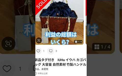 メルカリ､ヤフーフリマ､ヤフオクの1年間の収益はいくら？大公開！