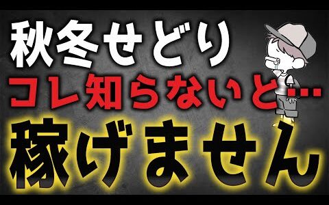 【注意】秋冬アパレルせどりの仕入れは何が大切なのか？間違った視点を持つと全く稼げない恐れもあります…。