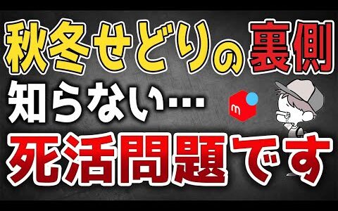 本気で秋冬せどりで稼ぎたい人へ。裏側と解決策を話します。