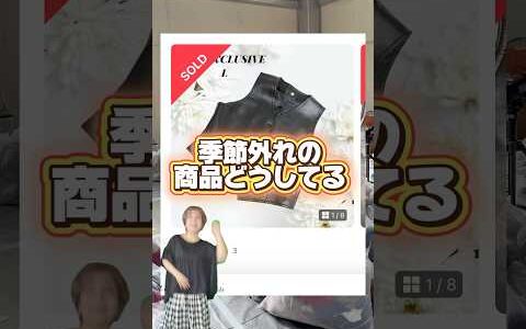 出品しないことには始まらない！特初心者さんはまずは数をこなして経験を積むことが大事だよ！