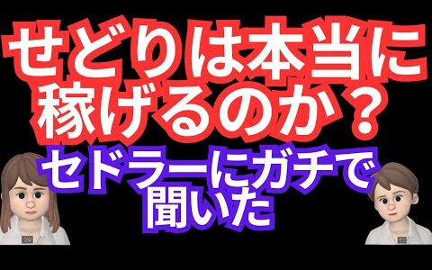 マルチ商法【せどり】セドラーからガチで聞いた!!