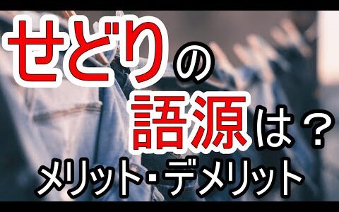 せどりの語源は？せどりの始め方やメリット・デメリット・注意点や違法行為についても解説！