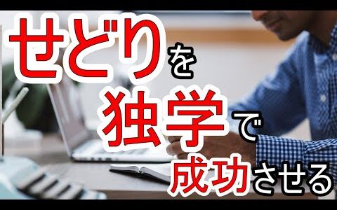 せどりを独学で成功させるためのポイントを紹介!コンサルの是非についても解説!