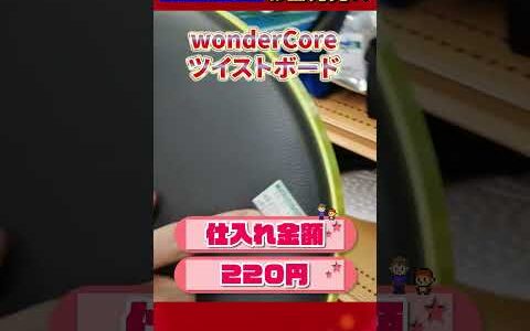 【鬼リピ商品】wonderCoreツイストボード