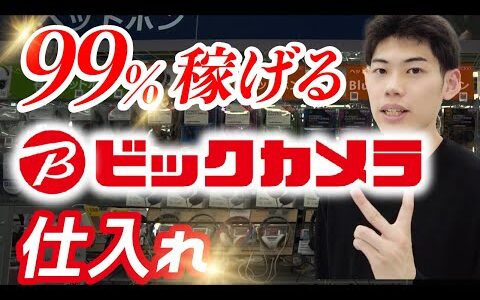 【せどり】月10万円稼ぐ、ビックカメラ仕入れの立ち回り解説。